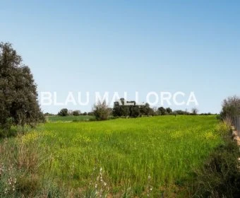 Sale Rustic houses Llubí