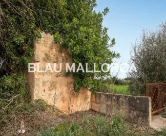 Sale Rustic houses Llubí