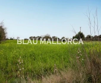Sale Rustic houses Llubí