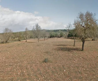 Verkauf landet Campos