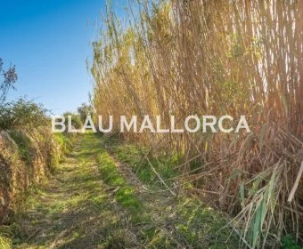 Venta Terrenos Artá