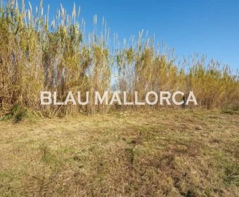 Venta Terrenos Artá