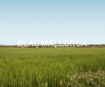 Sale Lands María de la salut