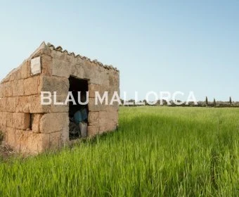 Sale Lands María de la salut