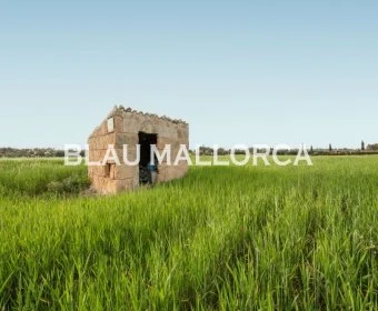 Sale Lands María de la salut