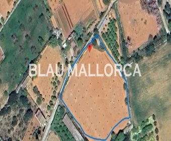 Venta Terrenos Manacor