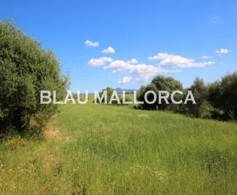 Sale Lands Vilafranca de Bonany