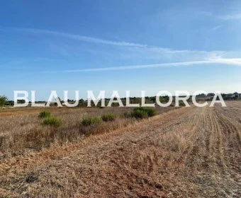 Venta Terrenos Porreres