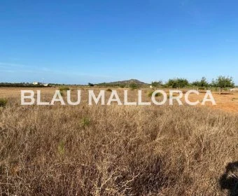 Venta Terrenos Porreres
