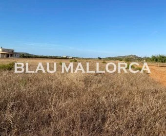 Venta Terrenos Porreres