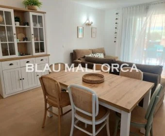 Sale Apartments Sa Coma