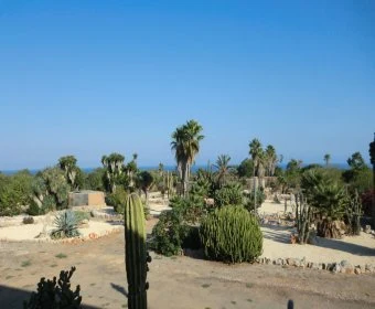 Venta Casas Rústicas Manacor