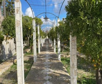 Verkauf Rustikale Häuser Montuiri