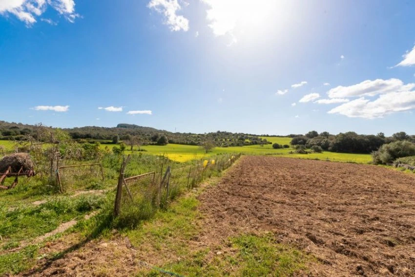 Venta Casas Rústicas Sant Llorenç des Cardassar