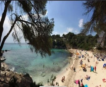 Sale Hotels Font de Sa Cala