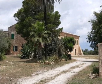 Sale Rustic houses Felanitx