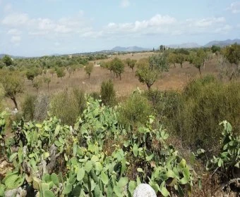Venta Casas Rústicas Cala Magrana