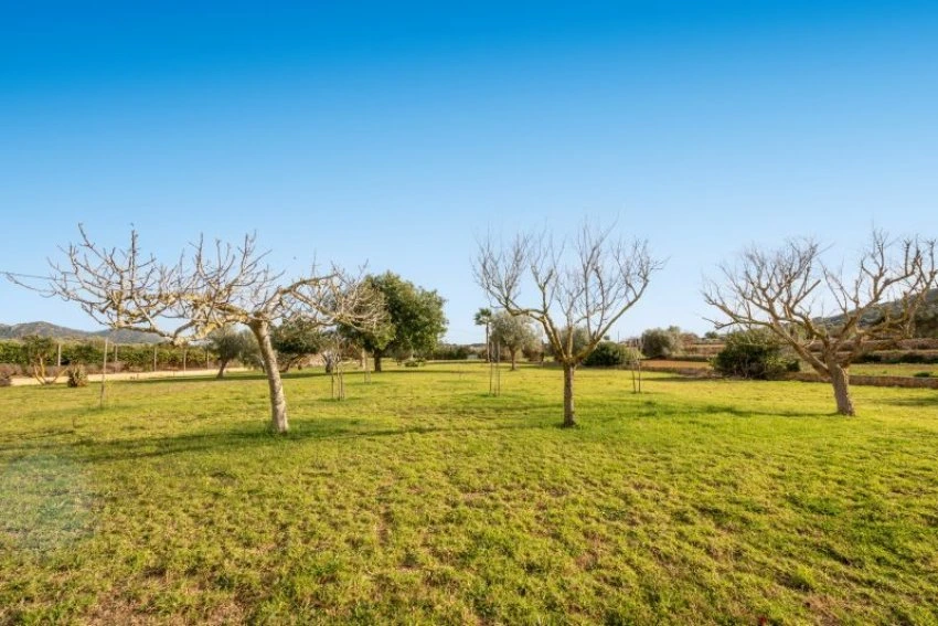 Venta Casas Rústicas Son Servera