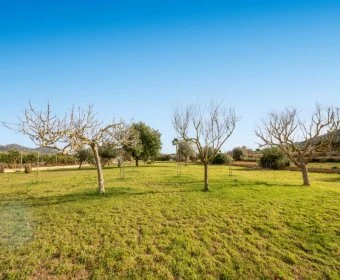 Sale Rustic houses Son Servera