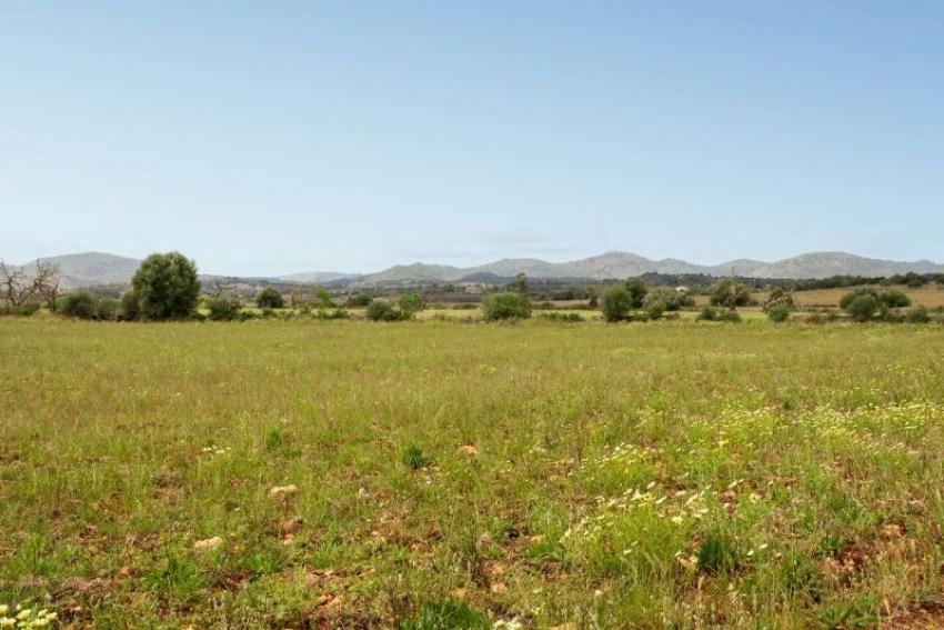 Venta Casas Rústicas Manacor