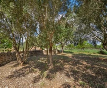 Venta Casas Rústicas Manacor