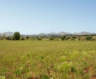 Venta Casas Rústicas Manacor