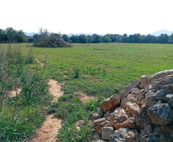 Venta Casas Rústicas Porreres