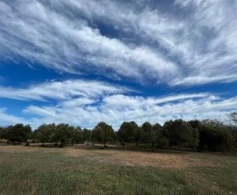 Venta Casas Rústicas Sencelles