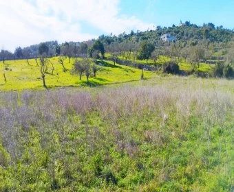 Venta Terrenos Son Servera