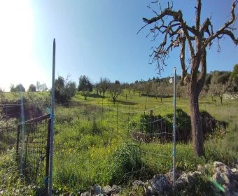 Venta Terrenos Son Servera