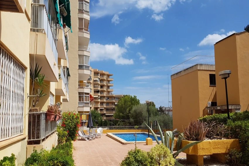 Sale Apartments Palma