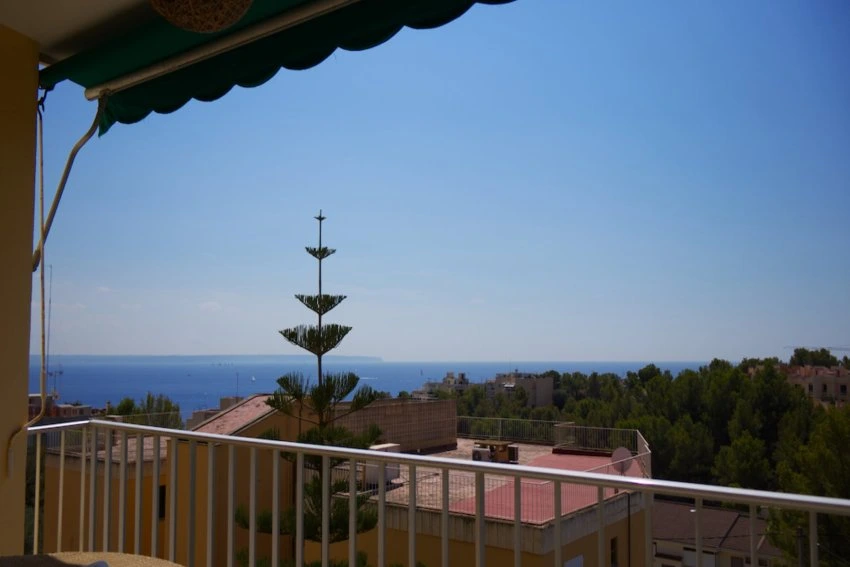 Sale Apartments Palma