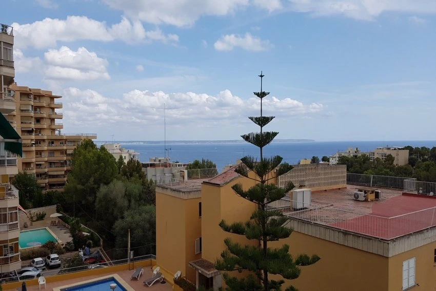 Sale Apartments Palma