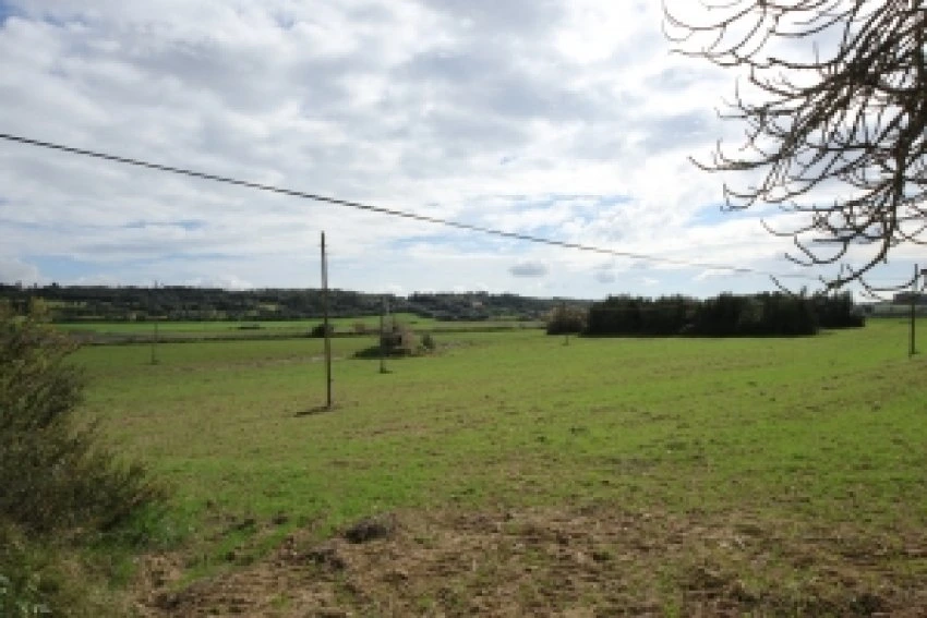 Venta Casas Rústicas Manacor