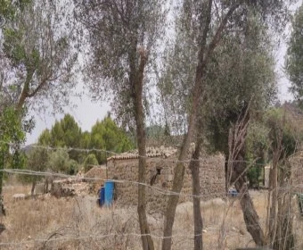 Venta Terrenos Canyamel