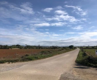 Sale Rustic houses Manacor