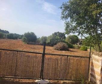 Venta Terrenos Algaida