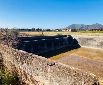 Venta Terrenos Llubí