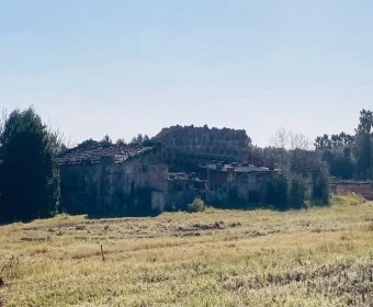 Venta Terrenos Llubí