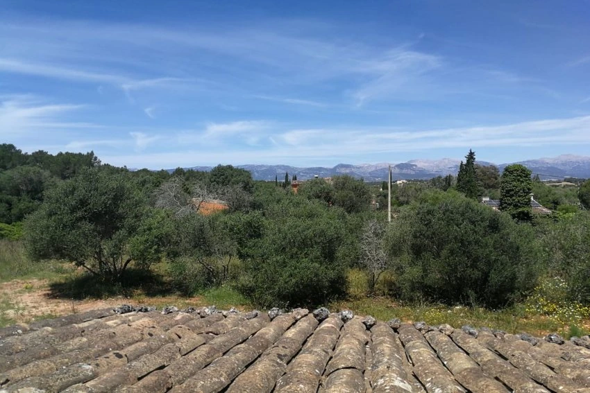 Venta Casas Rústicas Sencelles