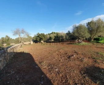 Venta Casas Rústicas Sencelles