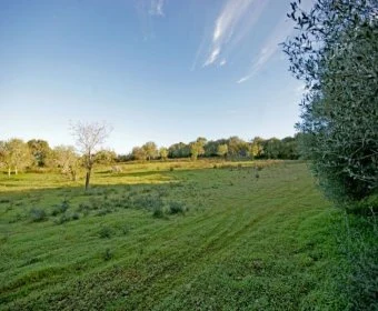 Venta Terrenos Porto Colom