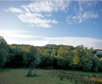 Venta Terrenos Porto Colom