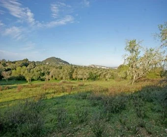 Venta Terrenos Porto Colom