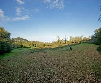 Venta Terrenos Porto Colom
