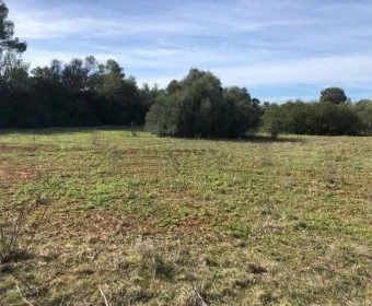 Venta Otros Porreres