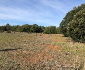 Venta Otros Porreres