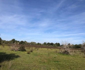 Venta Otros Porreres