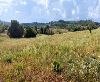 Venta Terrenos Manacor