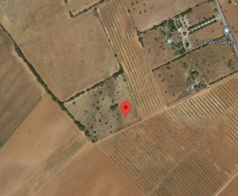 Venta Terrenos Manacor